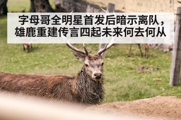 字母哥全明星首发后暗示离队,雄鹿重建传言四起未来何去何从