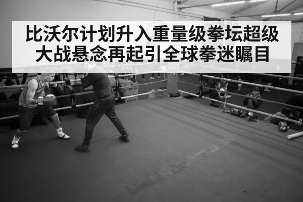 boxer training gym