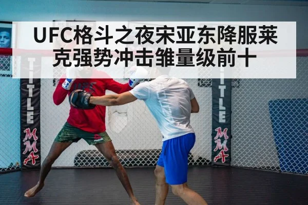 UFC格斗之夜宋亚东降服莱克强势冲击雏量级前十