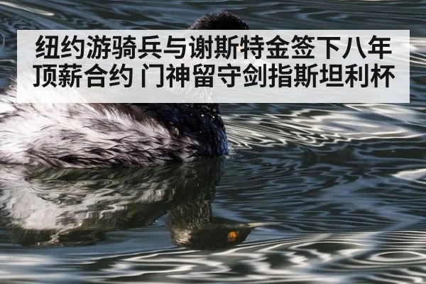 纽约游骑兵与谢斯特金签下八年顶薪合约 门神留守剑指斯坦利杯